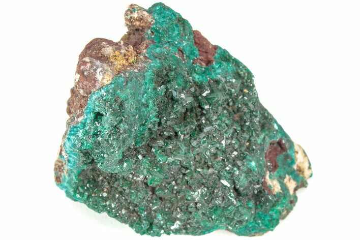 Forest Green Dioptase Crystal Cluster - N'tola Mine, Congo #209679